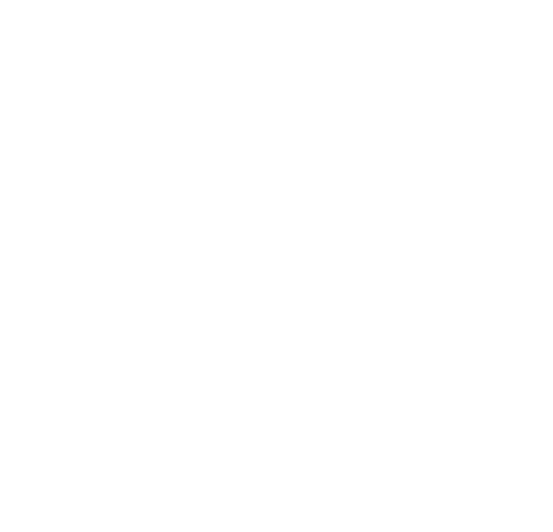 hotel_ours_blanc